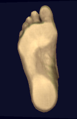 Foot02